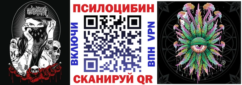Псилоцибиновые грибы MAGIC MUSHROOMS  купить наркоту  Дрезна 